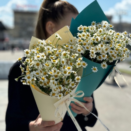 MF1501 - Сезонный кулек. Ромашки.  - фото moscowflorist.ru