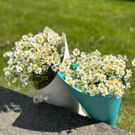 MF1501 - Сезонный кулек. Ромашки.  - фото moscowflorist.ru