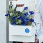MF5662 - Этюдник Настроение Лето фото №3 - moscowflorist.ru