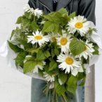 MF1339 - Летний букет с крупными ромашками и зеленью малины фото №2 - moscowflorist.ru