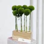 MF5146 - Набор Алхимия с зелеными гвоздиками Грин Трик фото №3 - moscowflorist.ru