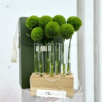 MF5146 - Набор Алхимия с зелеными гвоздиками Грин Трик фото №4 - moscowflorist.ru