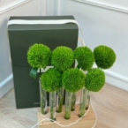 MF5146 - Набор Алхимия с зелеными гвоздиками Грин Трик фото №2 - moscowflorist.ru