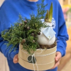 MF0843 - Амариллис в воске в хвойном оформлении фото №1 - moscowflorist.ru