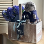 MF7058 - Цветочный ящик с гиацинтами и исхудавшим котейкой фото №3 - moscowflorist.ru