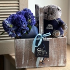 MF7058 - Цветочный ящик с гиацинтами и исхудавшим котейкой фото №1 - moscowflorist.ru