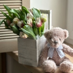 MF7059 - Цветочный ящик с тюльпанами и мишкой фото №2 - moscowflorist.ru