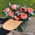 MF5876 - Фирменная коробка Takeiteasy с пионовидными розами фото №2 - moscowflorist.ru