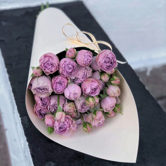 MF1510 - Фирменный кулек с кустовой винтажной розой  фото - moscowflorist.ru