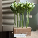 MF5148 - Набор Алхимия с альстромериями фото №1 - moscowflorist.ru