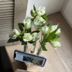 MF5184 - Подставка под телефон Алхимия с альстромериями фото №3 - moscowflorist.ru